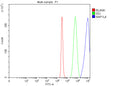 Flow Cytometry analysis of 293T cells using anti-NAP1L4 antibody. Overlay histogram showing 293T cells stained with (Blue line). To facilitate intracellular staining, cells were fixed with 4% paraformaldehyde and permeabilized with permeabilization buffer. The cells were blocked with 10% normal goat serum. And then incubated with rabbit anti-NAP1L4 antibody (1 ug/million cells) for 30 min at 20oC.