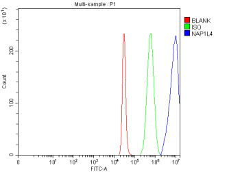 Flow Cytometry analysis of 293T cells using anti-NAP1L4 antibody. Overlay histogram showing 293T cells stained with (Blue line). To facilitate intracellular staining, cells were fixed with 4% paraformaldehyde and permeabilized with permeabilization buffer. The cells were blocked with 10% normal goat serum. And then incubated with rabbit anti-NAP1L4 antibody (1 ug/million cells) for 30 min at 20oC.