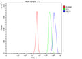 Flow Cytometry analysis of human JK cells using anti-RECK antibody. Overlay histogram showing JK cells stained with (Blue line). The cells were fixed with 4% paraformaldehyde and blocked with 10% normal goat serum. And then incubated with rabbit anti-RECK antibody (1 ug/million cells) for 30 min at 20oC. DyLight 488 conjugated goat anti-rabbit IgG (5-10 ug/million cells) was used as secondary antibody for 30 min at 20oC.