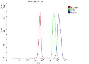 Flow Cytometry analysis of human JK cells using anti-RECK antibody. Overlay histogram showing JK cells stained with (Blue line). The cells were fixed with 4% paraformaldehyde and blocked with 10% normal goat serum. And then incubated with rabbit anti-RECK antibody (1 ug/million cells) for 30 min at 20oC. DyLight 488 conjugated goat anti-rabbit IgG (5-10 ug/million cells) was used as secondary antibody for 30 min at 20oC.