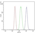 Flow cytometry testing of human U937 cells with CXCR4 antibody at 1ug/million cells (blocked with goat sera); Red=cells alone, Green=isotype control, Blue= CXCR4 antibody.