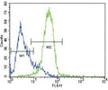 GATA4 antibody flow cytometric analysis of HepG2 cells (green) compared to a negative control (blue). FITC-conjugated goat-anti-rabbit secondary Ab was used for the analysis.