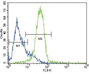 GATA4 antibody flow cytometric analysis of HepG2 cells (green) compared to a negative control (blue). FITC-conjugated goat-anti-rabbit secondary Ab was used for the analysis.