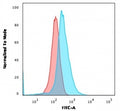 Flow cytometry testing of human Molt-4 cells with CD1a antibody (clone 66IIC7); Red=isotype control, Blue= CD1a antibody.