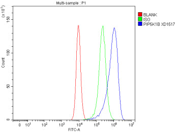 Flow Cytometry analysis of CACO-2 cells using anti-PIP5K1B antibody. Overlay histogram showing CACO-2 cells stained with (Blue line). To facilitate intracellular staining, cells were fixed with 4% paraformaldehyde and permeabilized with permeabilization buffer. The cells were blocked with 10% normal goat serum. And then incubated with rabbit anti-PIP5K1B antibody (1 ug/million cells) for 30 min at 20oC.