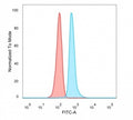 FACS staining of PFA-fixed human HeLa cells with DMRT2 antibody (blue, clone PCRP-DMRT2-1B11) and isotype control (red).