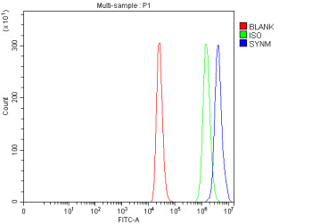 Flow Cytometry analysis of THP-1 cells using anti-SYNM antibody. Overlay histogram showing THP-1 cells stained with (Blue line). To facilitate intracellular staining, cells were fixed with 4% paraformaldehyde and permeabilized with permeabilization buffer. The cells were blocked with 10% normal goat serum. And then incubated with rabbit anti-SYNM antibody (1 ug/million cells) for 30 min at 20oC.