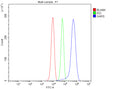 Flow Cytometry analysis of HepG2 cells using anti-GARS1 antibody. Overlay histogram showing HepG2 cells stained with (Blue line). The cells were fixed with 4% paraformaldehyde and blocked with 10% normal goat serum. And then incubated with rabbit anti-GARS1 antibody (1 ug/million cells) for 30 min at 20oC. DyLight 488 conjugated goat anti-rabbit IgG (5-10 ug/million cells) was used as secondary antibody for 30 min at 20oC.