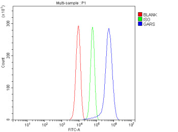 Flow Cytometry analysis of HepG2 cells using anti-GARS1 antibody. Overlay histogram showing HepG2 cells stained with (Blue line). The cells were fixed with 4% paraformaldehyde and blocked with 10% normal goat serum. And then incubated with rabbit anti-GARS1 antibody (1 ug/million cells) for 30 min at 20oC. DyLight 488 conjugated goat anti-rabbit IgG (5-10 ug/million cells) was used as secondary antibody for 30 min at 20oC.
