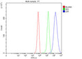 Flow cytometry testing of fixed and permeabilized human K562 cells with GPI antibody at 1ug/million cells (blocked with goat sera); Red=cells alone, Green=isotype control, Blue= GPI antibody.