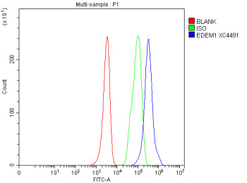 Flow Cytometry analysis of HEL cells using anti-EDEM1 antibody. Overlay histogram showing HEL cells stained with (Blue line). To facilitate intracellular staining, cells were fixed with 4% paraformaldehyde and permeabilized with permeabilization buffer. The cells were blocked with 10% normal goat serum. And then incubated with rabbit anti-EDEM1 antibody (1 ug/million cells) for 30 min at 20oC.