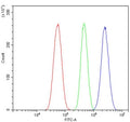 Flow cytometry testing of human U-87 MG cells with UBE3A antibody at 1ug/million cells (blocked with goat sera); Red=cells alone, Green=isotype control, Blue= UBE3A antibody.