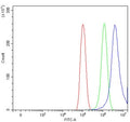 Flow cytometry testing of human PC-3 cells with WNT10B antibody at 1ug/million cells (blocked with goat sera); Red=cells alone, Green=isotype control, Blue= WNT10B antibody.