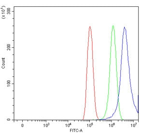 Flow cytometry testing of human PC-3 cells with WNT10B antibody at 1ug/million cells (blocked with goat sera); Red=cells alone, Green=isotype control, Blue= WNT10B antibody.