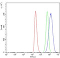 Flow cytometry testing of human ThP-1 cells with RNF8 antibody at 1ug/million cells (blocked with goat sera); Red=cells alone, Green=isotype control, Blue= RNF8 antibody.
