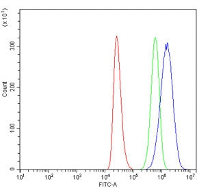 Flow cytometry testing of human ThP-1 cells with RNF8 antibody at 1ug/million cells (blocked with goat sera); Red=cells alone, Green=isotype control, Blue= RNF8 antibody.