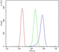 Flow cytometry testing of human HeLa cells with ATG7 antibody at 1ug/million cells (blocked with goat sera); Red=cells alone, Green=isotype control, Blue= ATG7 antibody.