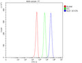 Flow Cytometry analysis of 293T cells using anti-NLE1 antibody. Overlay histogram showing 293T cells stained with (Blue line). To facilitate intracellular staining, cells were fixed with 4% paraformaldehyde and permeabilized with permeabilization buffer. The cells were blocked with 10% normal goat serum. And then incubated with rabbit anti-NLE1 antibody (1 ug/million cells) for 30 min at 20oC.