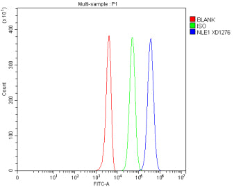 Flow Cytometry analysis of 293T cells using anti-NLE1 antibody. Overlay histogram showing 293T cells stained with (Blue line). To facilitate intracellular staining, cells were fixed with 4% paraformaldehyde and permeabilized with permeabilization buffer. The cells were blocked with 10% normal goat serum. And then incubated with rabbit anti-NLE1 antibody (1 ug/million cells) for 30 min at 20oC.