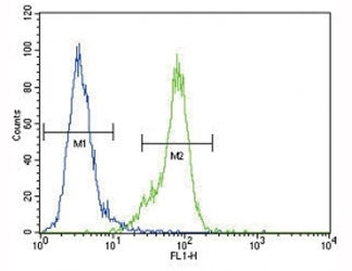 Dnmt1 antibody flow cytometric analysis of MDA-MB435 cells (right histogram) compared to a negative control (left histogram). FITC-conjugated goat-anti-rabbit secondary Ab was used for the analysis.