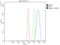 Flow Cytometry analysis of HepG2 cells using anti-LMBR1L antibody. Overlay histogram showing HepG2 cells stained with (Blue line). The cells were fixed with 4% paraformaldehyde and blocked with 10% normal goat serum. And then incubated with rabbit anti-LMBR1L antibody (1 ug/million cells) for 30 min at 20oC. DyLight 488 conjugated goat anti-rabbit IgG (5-10 ug/million cells) was used as secondary antibody for 30 min at 20oC.