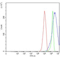 Flow cytometry testing of human RT4 cells with BBS8 antibody at 1ug/million cells (blocked with goat sera); Red=cells alone, Green=isotype control, Blue= BBS8 antibody.