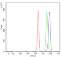 Flow cytometry testing of human HepG2 cells with OAT7 antibody at 1ug/million cells (blocked with goat sera); Red=cells alone, Green=isotype control, Blue= OAT7 antibody.