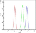 Flow cytometry testing of human 293T cells with Daxx antibody at 1ug/million cells (blocked with goat sera); Red=cells alone, Green=isotype control, Blue= Daxx antibody.