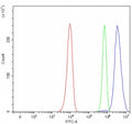 Flow cytometry testing of human HeLa cells with RREB1 antibody at 1ug/million cells (blocked with goat sera); Red=cells alone, Green=isotype control, Blue= RREB1 antibody.