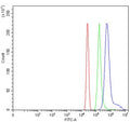 Flow cytometry testing of human HL60 cells with Vaccinia-related kinase 2 antibody at 1ug/million cells (blocked with goat sera); Red=cells alone, Green=isotype control, Blue= Vaccinia-related kinase 2 antibody.