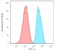 Flow cytometry testing of human MCF7 cells with recombinant EpCAM antibody (clone EGP40/2571R); Red=isotype control, Blue= recombinant EpCAM antibody.