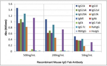 ELISA of mouse immunoglobulins shows the recombinant Mouse IgG Fab antibody reacts to the Fab region of IgG1, IgG2a, IgG2b, and IgG3; no cross reactivity with IgM, IgA, IgE, human/rat/rabbit IgG.