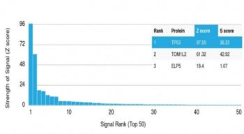 Protein array validation of the p53 antibody: Analysis of HuProt(TM) microarray containing more than 19,000 full-length human proteins using p53 antibody (clone PAb 1801).<P><P>Z- and S- score: The Z-score represents the strength of a signal that an antibody (in combination with a fluorescently-tagged anti-IgG secondary Ab) produces when binding to a particular protein on the HuProt(TM) array. Z-scores are described in units of standard deviations (SD's) above the mean value of all signals generated on that