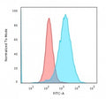 Flow cytometry testing of human Jurkat cells with Transferrin Receptor antibody (clone TFRC/1059); Red=isotype control, Blue= Transferrin Receptor antibody.