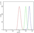 Flow cytometry testing of human ThP-1 cells with IRF7 antibody at 1ug/million cells (blocked with goat sera); Red=cells alone, Green=isotype control, Blue= IRF7 antibody.