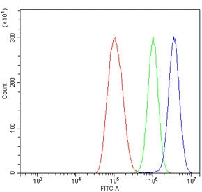 Flow cytometry testing of human ThP-1 cells with IRF7 antibody at 1ug/million cells (blocked with goat sera); Red=cells alone, Green=isotype control, Blue= IRF7 antibody.