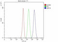 Flow Cytometry analysis of EL-4 cells using anti-Gdf15 antibody. Overlay histogram showing EL-4 cells stained with (Blue line). The cells were fixed with 4% paraformaldehyde and blocked with 10% normal goat serum. And then incubated with rabbit anti-Gdf15 antibody (1 ug/million cells) for 30 min at 20oC. DyLight 488 conjugated goat anti-rabbit IgG (5-10 ug/million cells) was used as secondary antibody for 30 min at 20oC.