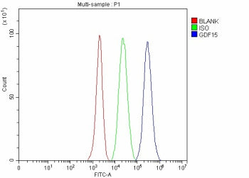 Flow Cytometry analysis of EL-4 cells using anti-Gdf15 antibody. Overlay histogram showing EL-4 cells stained with (Blue line). The cells were fixed with 4% paraformaldehyde and blocked with 10% normal goat serum. And then incubated with rabbit anti-Gdf15 antibody (1 ug/million cells) for 30 min at 20oC. DyLight 488 conjugated goat anti-rabbit IgG (5-10 ug/million cells) was used as secondary antibody for 30 min at 20oC.