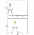 Flow cytometric analysis of NCI-H460 cells using TLR6 antibody (bottom histogram) compared to a negative control (top histogram). FITC-conjugated goat-anti-rabbit secondary Ab was used for the analysis.