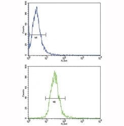 Flow cytometric analysis of NCI-H460 cells using TLR6 antibody (bottom histogram) compared to a negative control (top histogram). FITC-conjugated goat-anti-rabbit secondary Ab was used for the analysis.