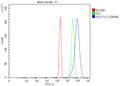 Flow Cytometry analysis of RT4 cells using anti-SULT1C2 antibody. Overlay histogram showing RT4 cells stained with (Blue line). To facilitate intracellular staining, cells were fixed with 4% paraformaldehyde and permeabilized with permeabilization buffer. The cells were blocked with 10% normal goat serum. And then incubated with rabbit anti-SULT1C2 antibody (1 ug/million cells) for 30 min at 20oC.
