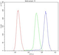 Flow cytometry testing of human SiHa cells with ATF1 antibody at 1ug/million cells (blocked with goat sera); Red=cells alone, Green=isotype control, Blue= ATF1 antibody.