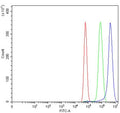 Flow cytometry testing of human U-87 MG cells with AGO1 antibody at 1ug/million cells (blocked with goat sera); Red=cells alone, Green=isotype control, Blue= AGO1 antibody.