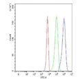 Flow cytometry testing of fixed and permeabilized human K562 cells with MICB antibody at 1ug/million cells (blocked with goat sera); Red=cells alone, Green=isotype control, Blue= MICB antibody.