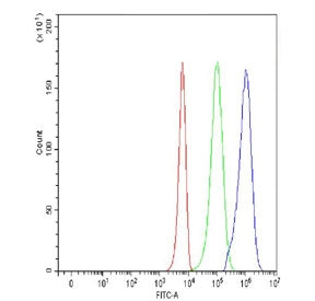 Flow cytometry testing of fixed and permeabilized human K562 cells with MICB antibody at 1ug/million cells (blocked with goat sera); Red=cells alone, Green=isotype control, Blue= MICB antibody.