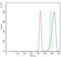 Flow cytometry testing of human ThP-1 cells with EREG1 antibody at 1ug/million cells (blocked with goat sera); Red=cells alone, Green=isotype control, Blue= EREG1 antibody.