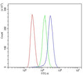 Flow cytometry testing of human Jurkat cells with Alpha 1 Catenin antibody at 1ug/million cells (blocked with goat sera); Red=cells alone, Green=isotype control, Blue= Alpha 1 Catenin antibody.