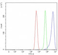 Flow cytometry testing of fixed and permeabilized human U-251 cells with ROCK1 antibody at 1ug/million cells (blocked with goat sera); Red=cells alone, Green=isotype control, Blue= ROCK1 antibody.