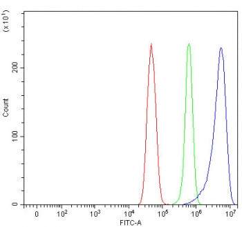 Flow cytometry testing of fixed and permeabilized human U-251 cells with ROCK1 antibody at 1ug/million cells (blocked with goat sera); Red=cells alone, Green=isotype control, Blue= ROCK1 antibody.
