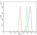 Flow cytometry testing of mouse ANA-1 cells with CD80 antibody at 1ug/million cells (blocked with goat sera); Red=cells alone, Green=isotype control, Blue= CD80 antibody.
